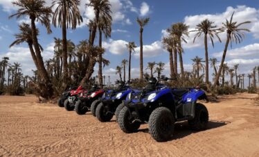 Quad palmeraies Marrakech