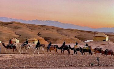 Balade Hebdomadaire et quad