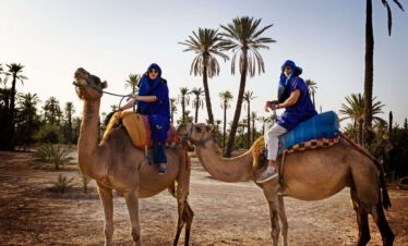 Palmeraie de Marrakech