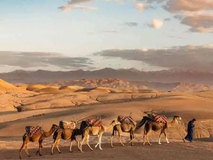 Attractions Marrakech